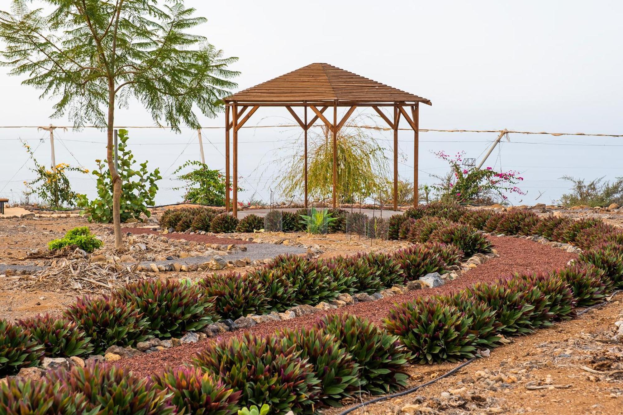 Tenerife Healing Garden Guia de Isora  Exterior photo